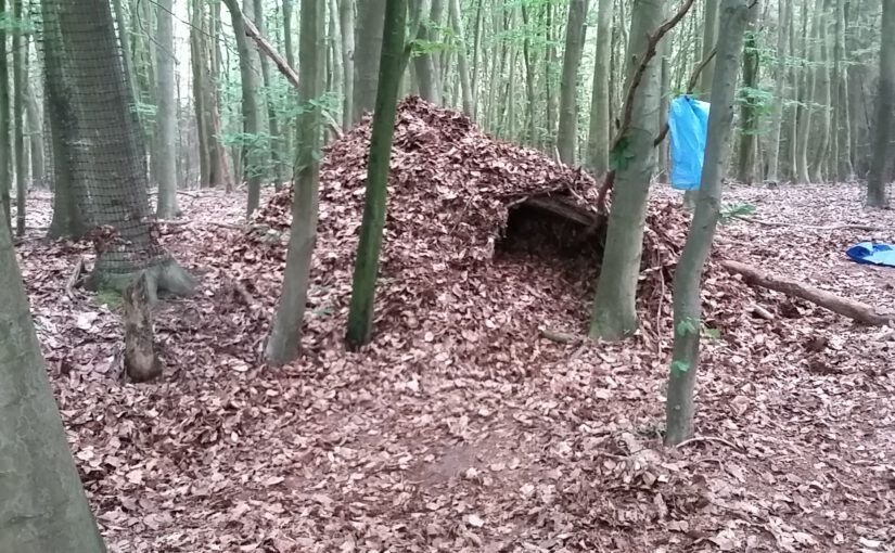Acht Wölfe – Hintergründe